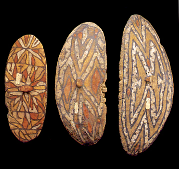 Indigenous fig tree wood shields from Herbert River NQ, Macleay Museum, University of Sydney